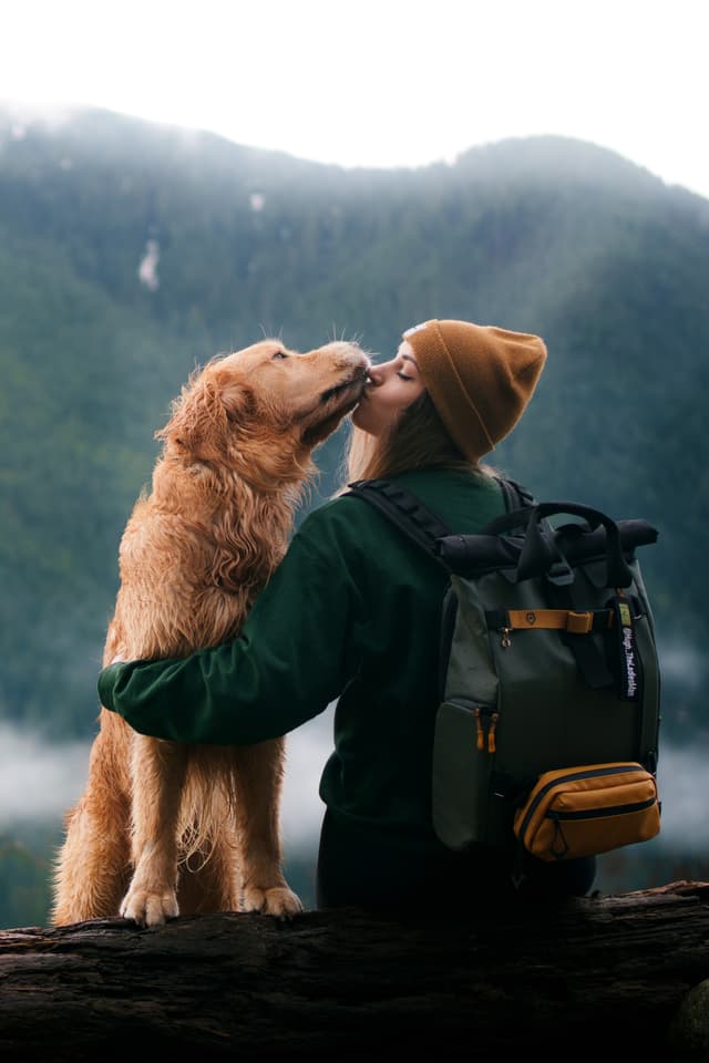 Snuggly Snouts single session photo woman holding up cute dog backlit against sunset